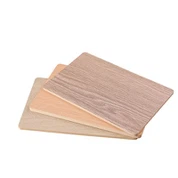 پلاسٹک کی اندرونی دیوار کی کلڈنگ